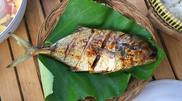 grilled fish