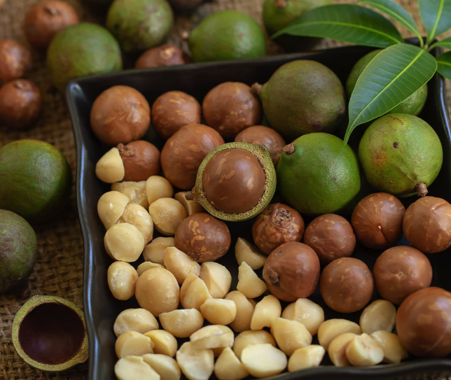 How Macadamia Nuts Stack Up AgainstOther Popular Nuts