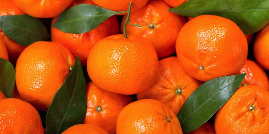Mandarin Oranges vs. Clementines: WhichOne’s Better for Kids